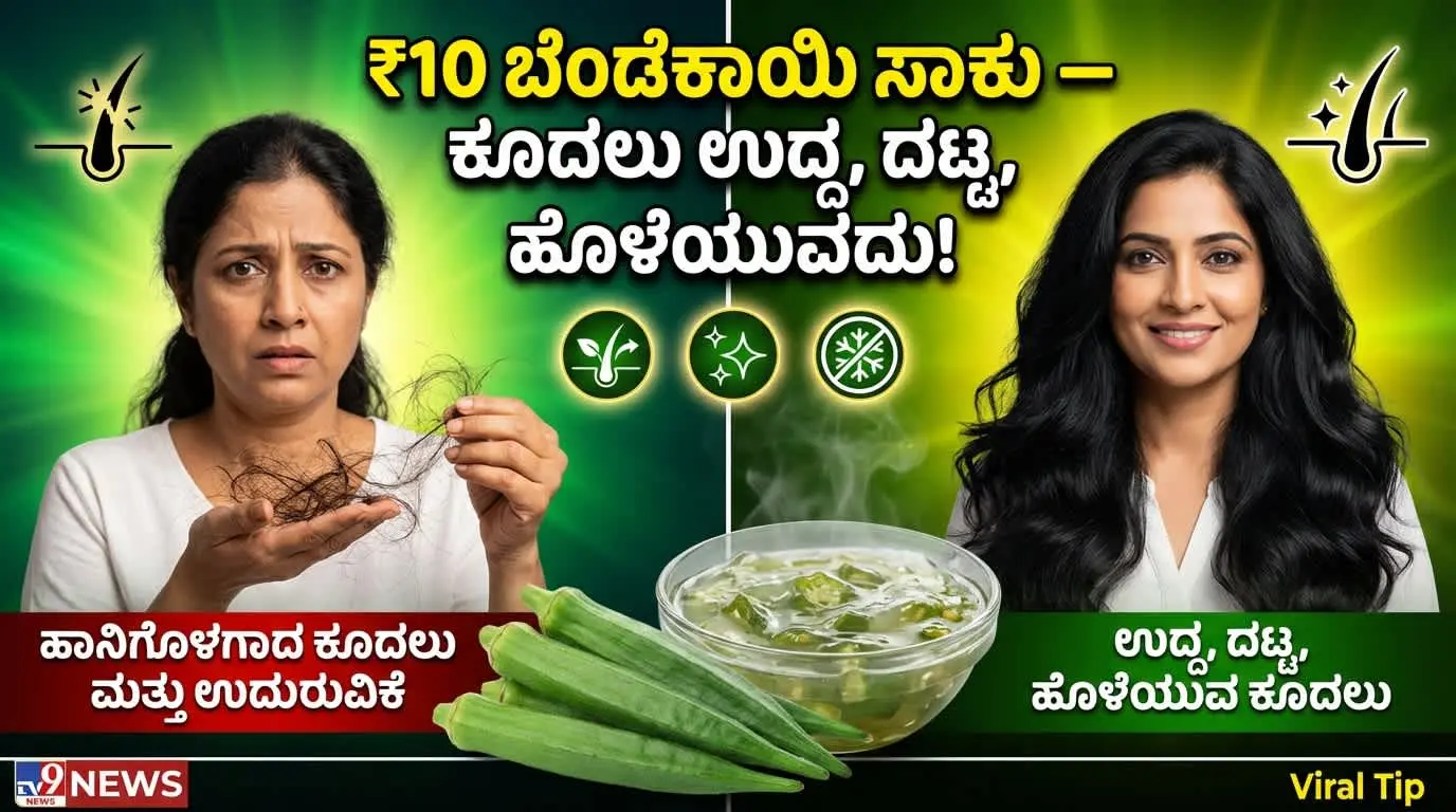 Okra Hair Mask Recipe Kannada